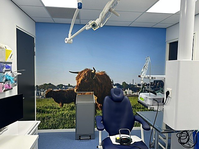 Maxillofacial clinic — photo 3
