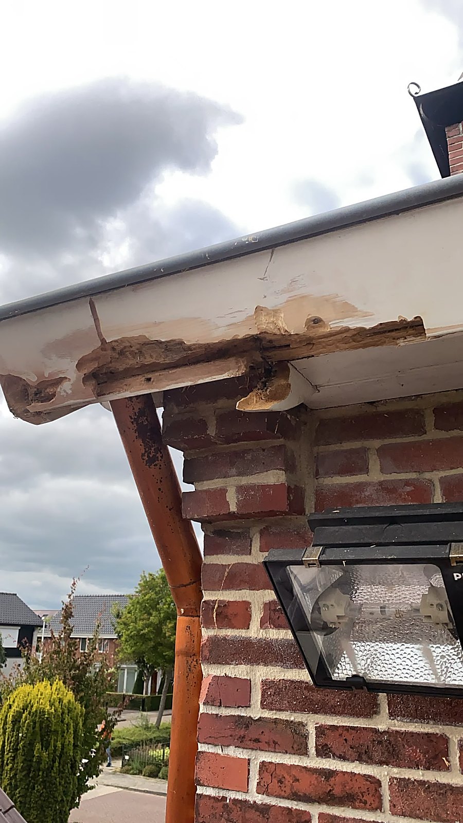 Property maintenance Werkendam — photo 2